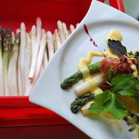 Отель Schlossparkhotel 3*