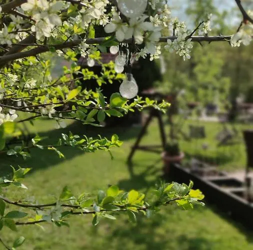 Schlossparkhotel Hotell 3*